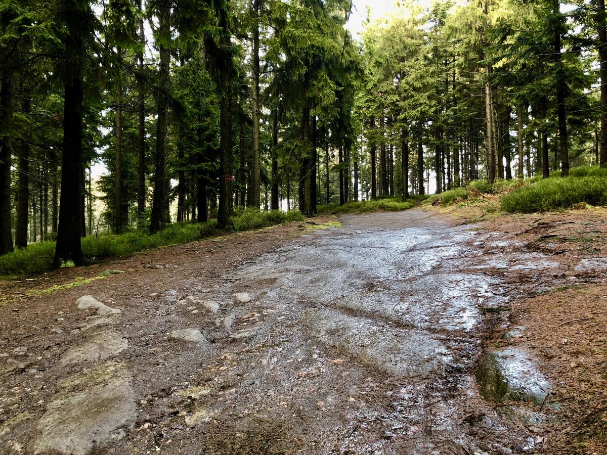 R&J Apartmany Broumov Dış mekan fotoğraf